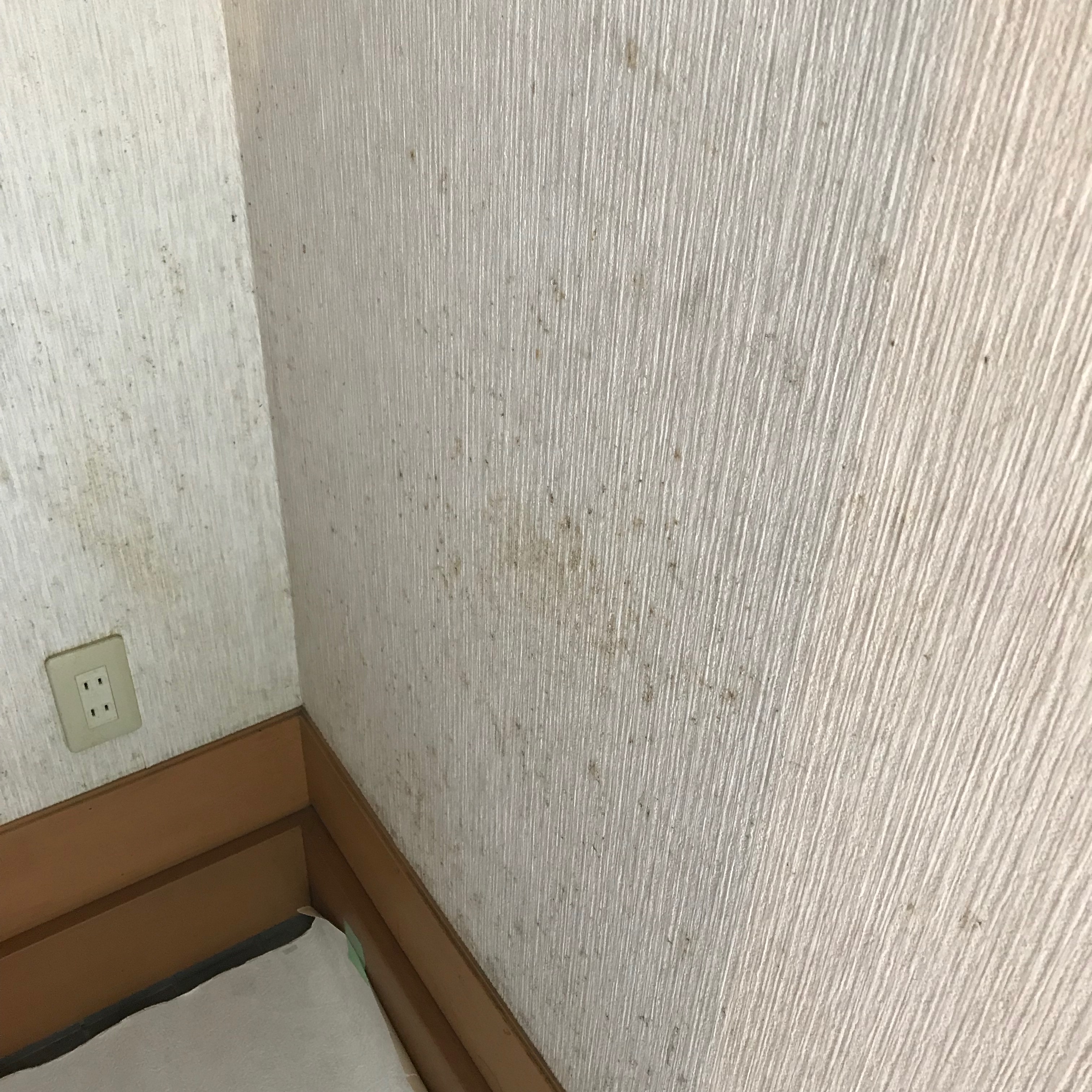 壁紙に発生したカビの原因と対処法 京都南部 戸建てリフォームとカーテン ブラインドの専門店 K House ケーハウス